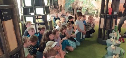 Dnes je na programu les  2.A