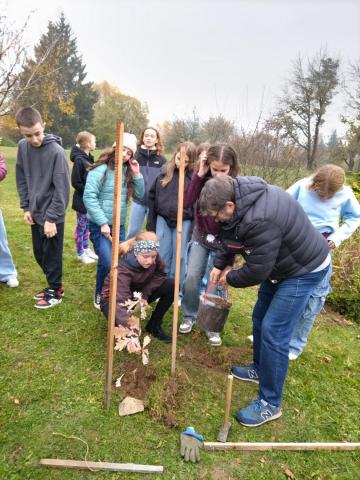 Sázení dubu z Osvětimi