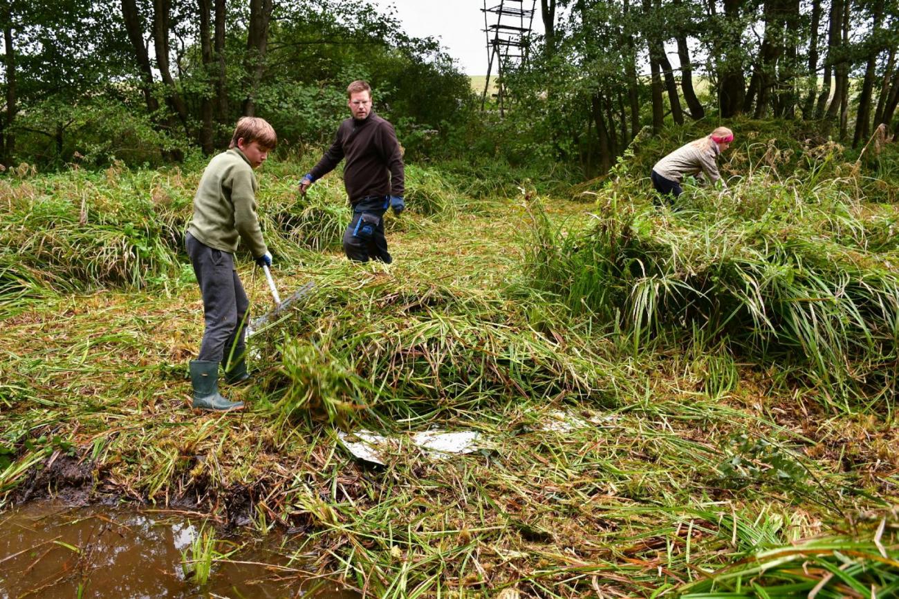 Badatelský kroužek – obnova tůněk pro obojživelníky u Měšína