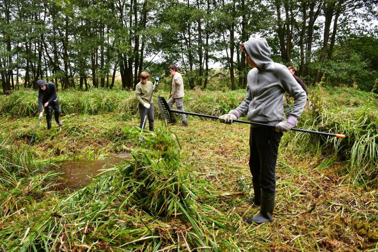 Badatelský kroužek – obnova tůněk pro obojživelníky u Měšína