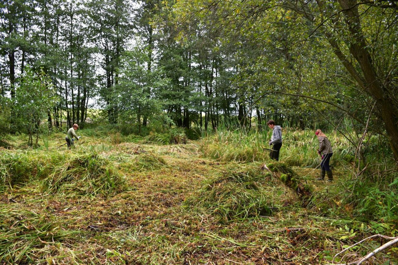 Badatelský kroužek – obnova tůněk pro obojživelníky u Měšína