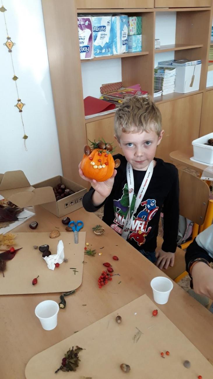 Tvoření z dýní  2.C