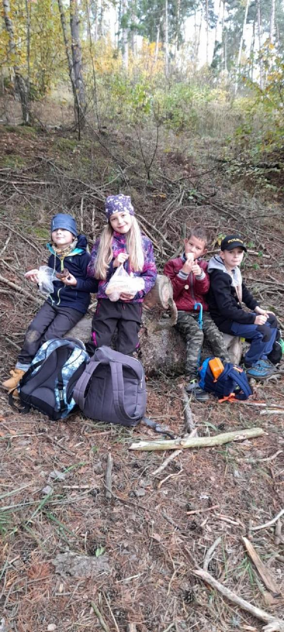 Země skřítků  2. ročník