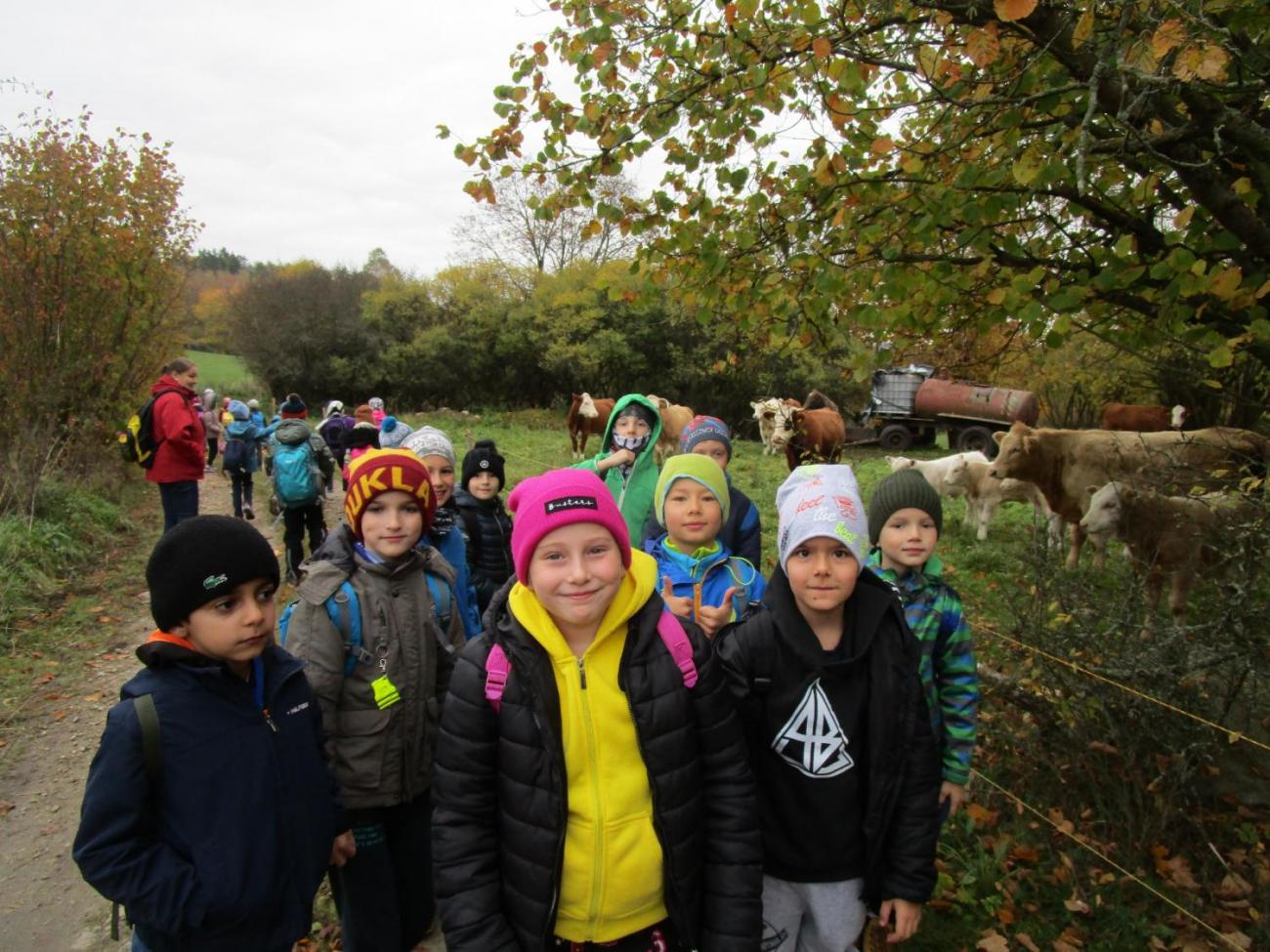 Země skřítků  2. ročník