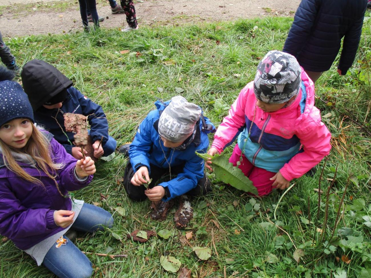 Země skřítků  2. ročník