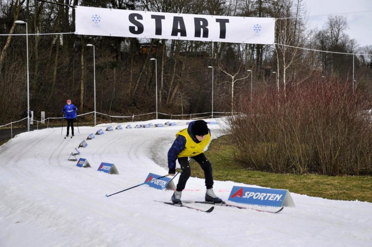 Školní lyžařské závody