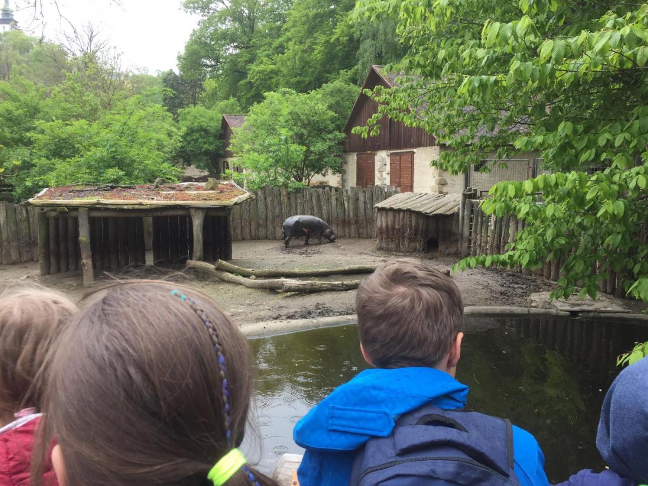 ZOO Jihlava - Kopýtkem sem, kopýtkem tam  3.A