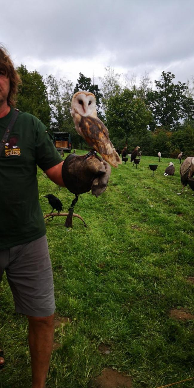 Dravci ze stanice Seiferos