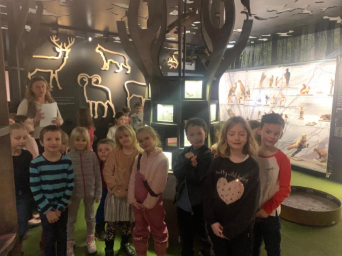 Muzeum Vysočiny - výukový program Les  1. ročník