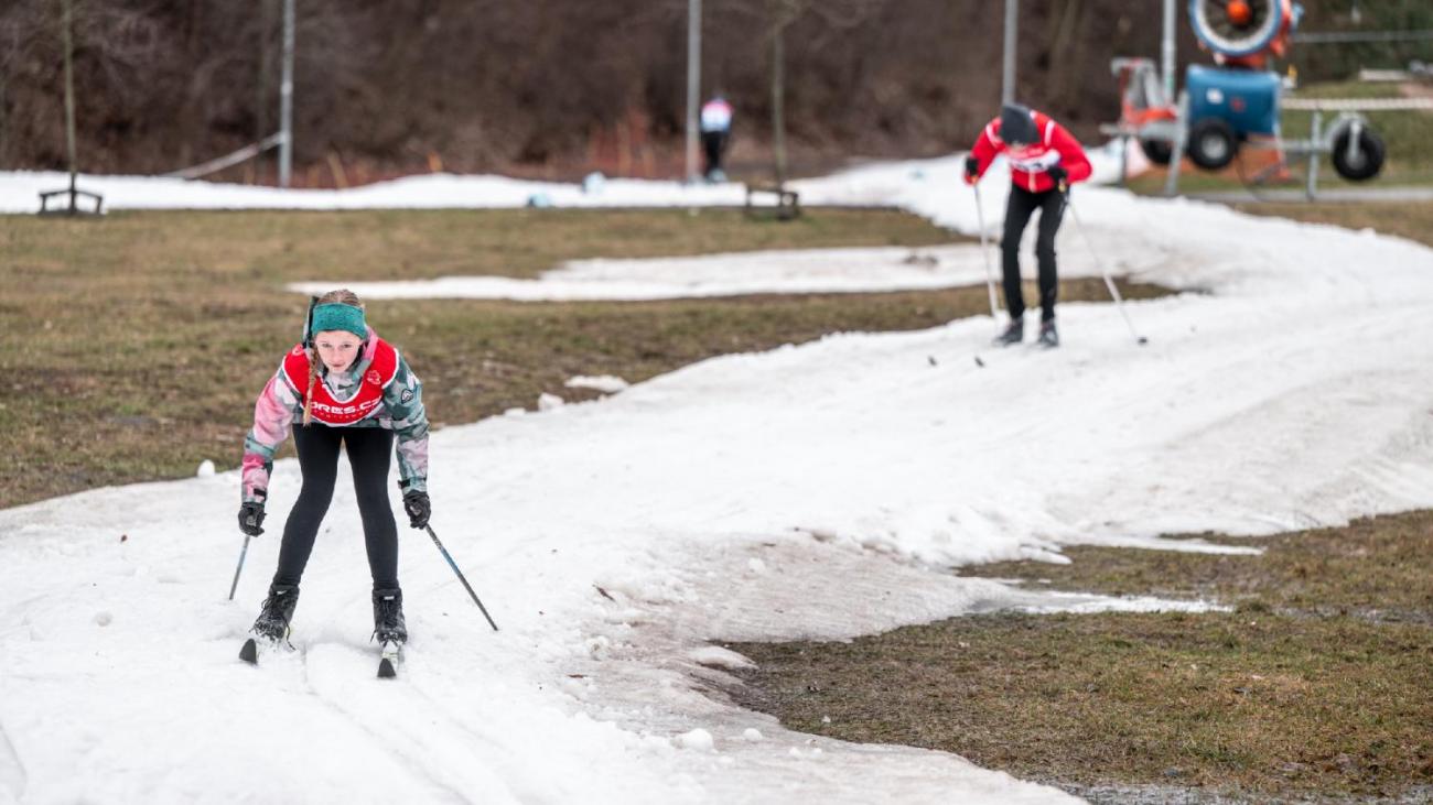Školní lyžařské závody