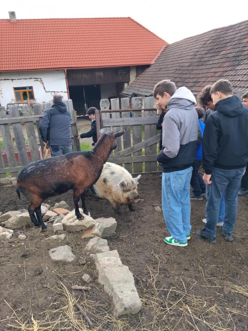 Cesta k sýru  9. ročník