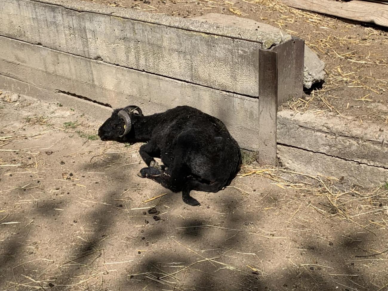 Když jsem já sloužil...   1.B