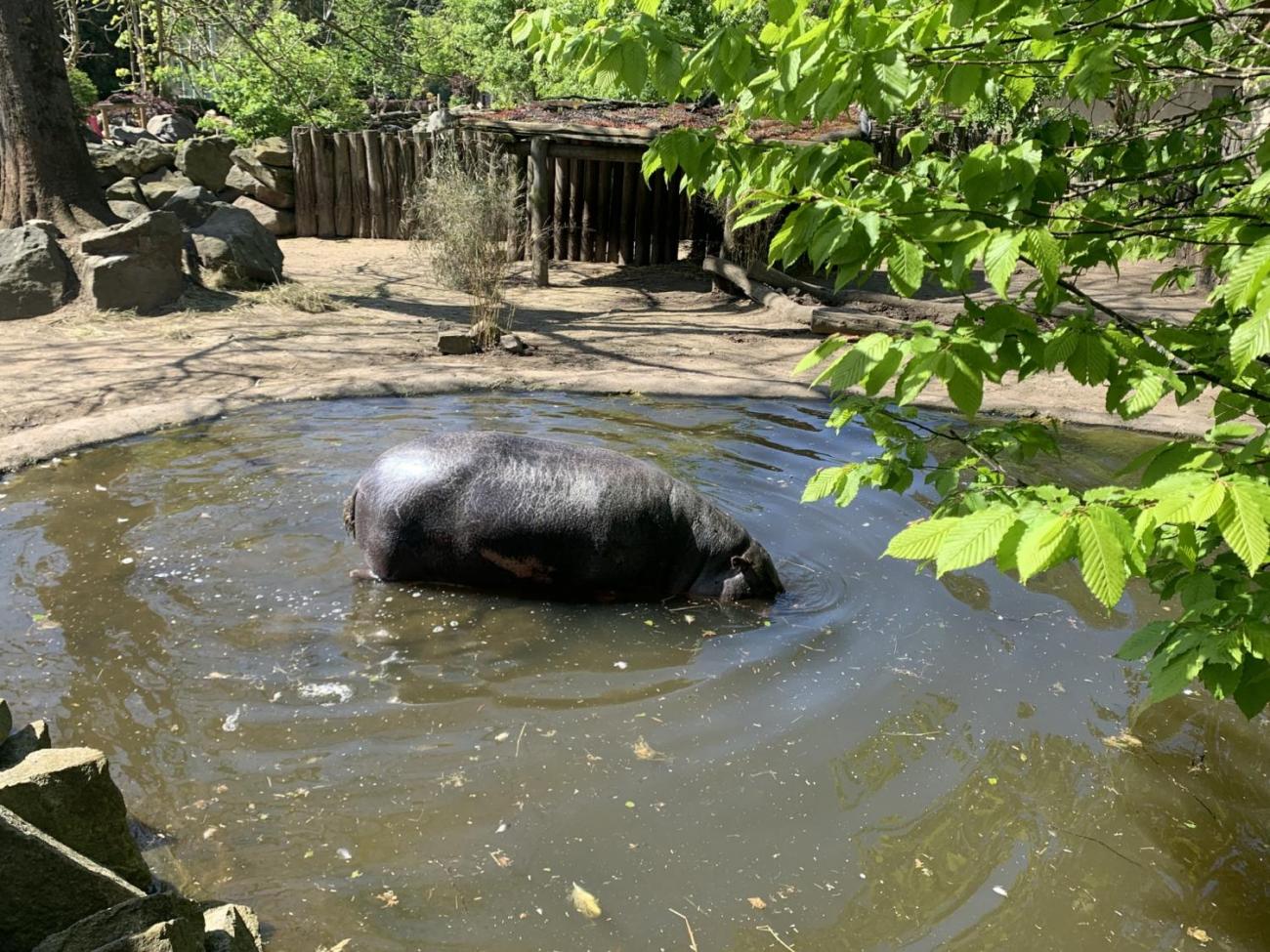 Když jsem já sloužil...   1.B