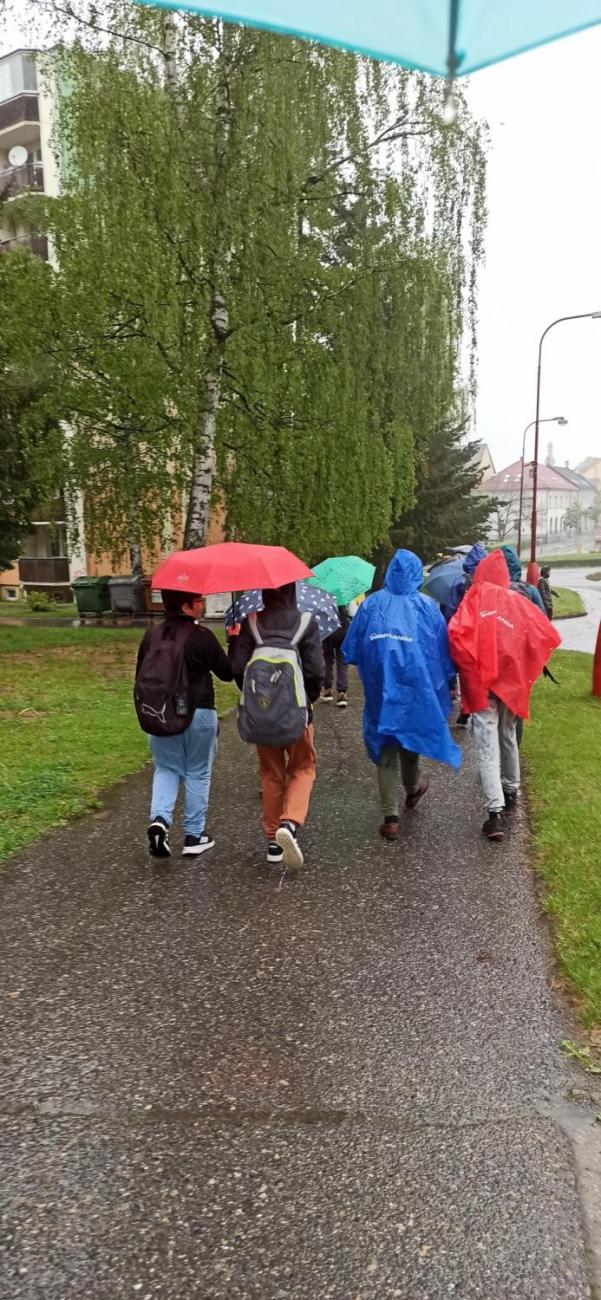 Zelená hora - poutní kostel sv. Jana Nepomuckého 