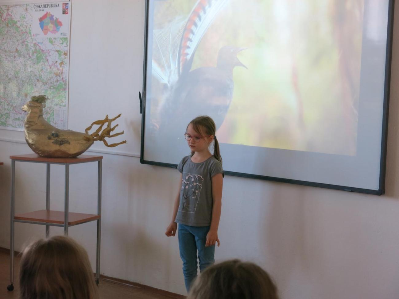 Pěvecká soutěž - Zlatý lyrochvost