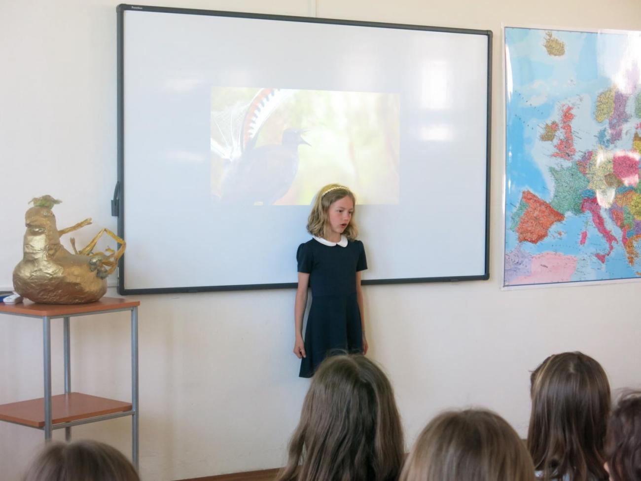 Pěvecká soutěž - Zlatý lyrochvost