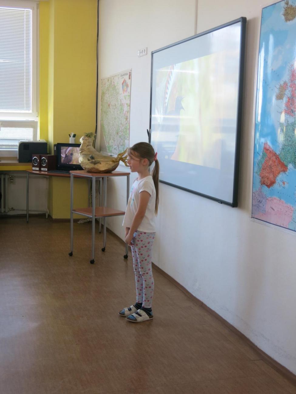 Pěvecká soutěž - Zlatý lyrochvost