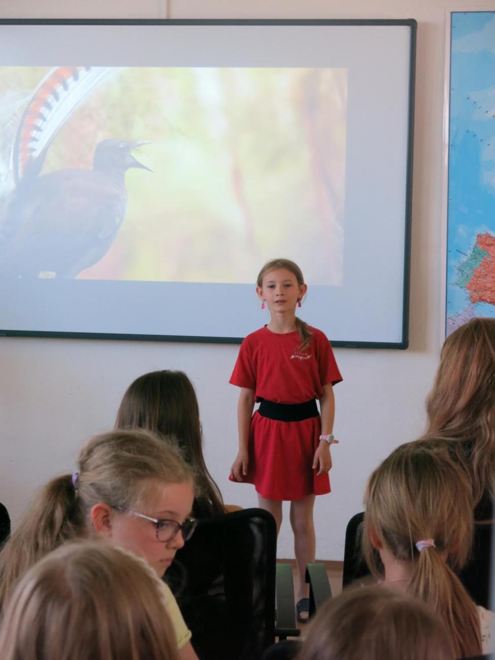 Pěvecká soutěž - Zlatý lyrochvost