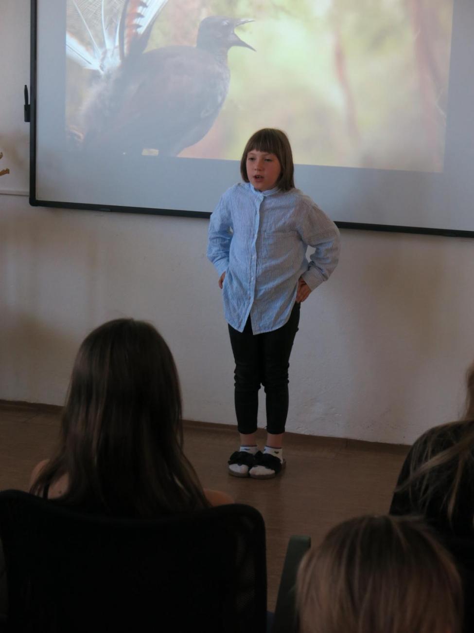 Pěvecká soutěž - Zlatý lyrochvost