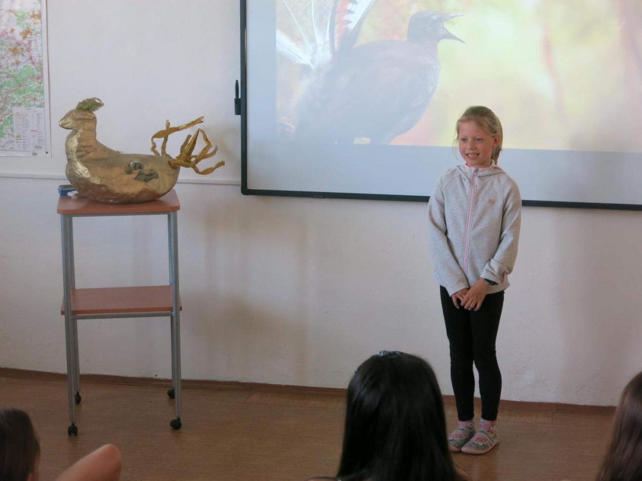 Pěvecká soutěž - Zlatý lyrochvost