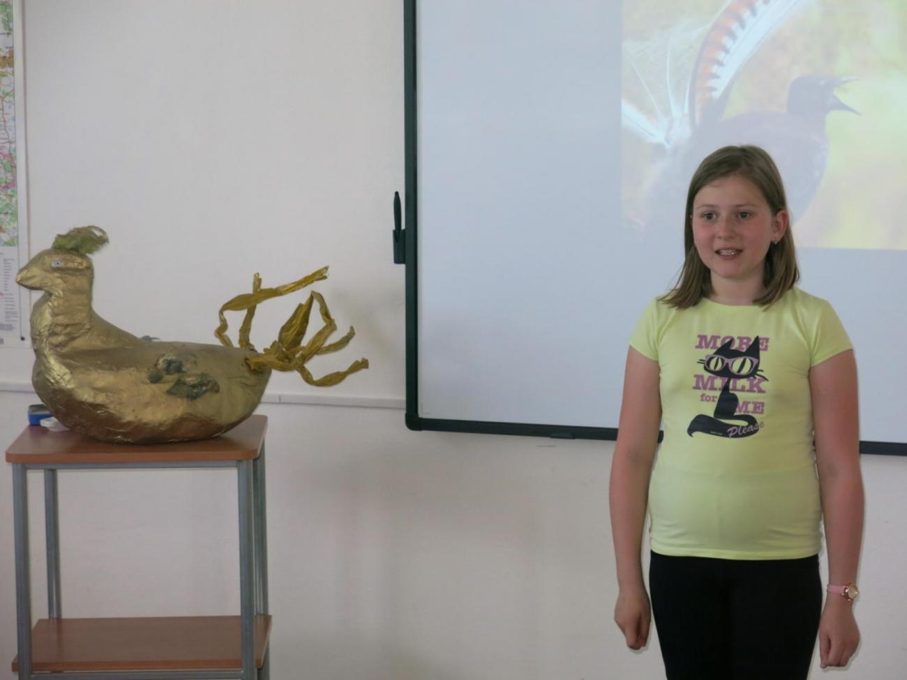 Pěvecká soutěž - Zlatý lyrochvost