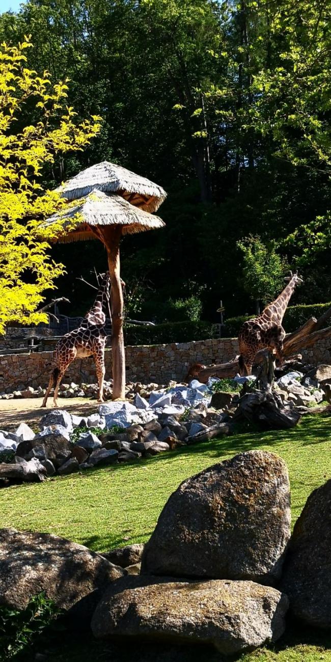 Když jsem já sloužil  1.A