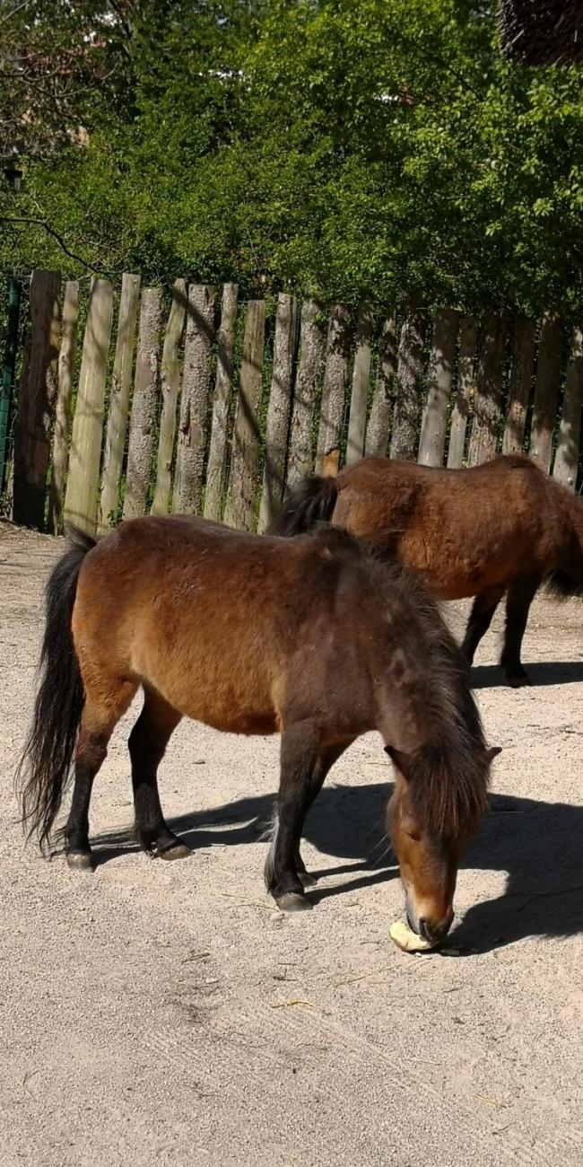 Když jsem já sloužil  1.A