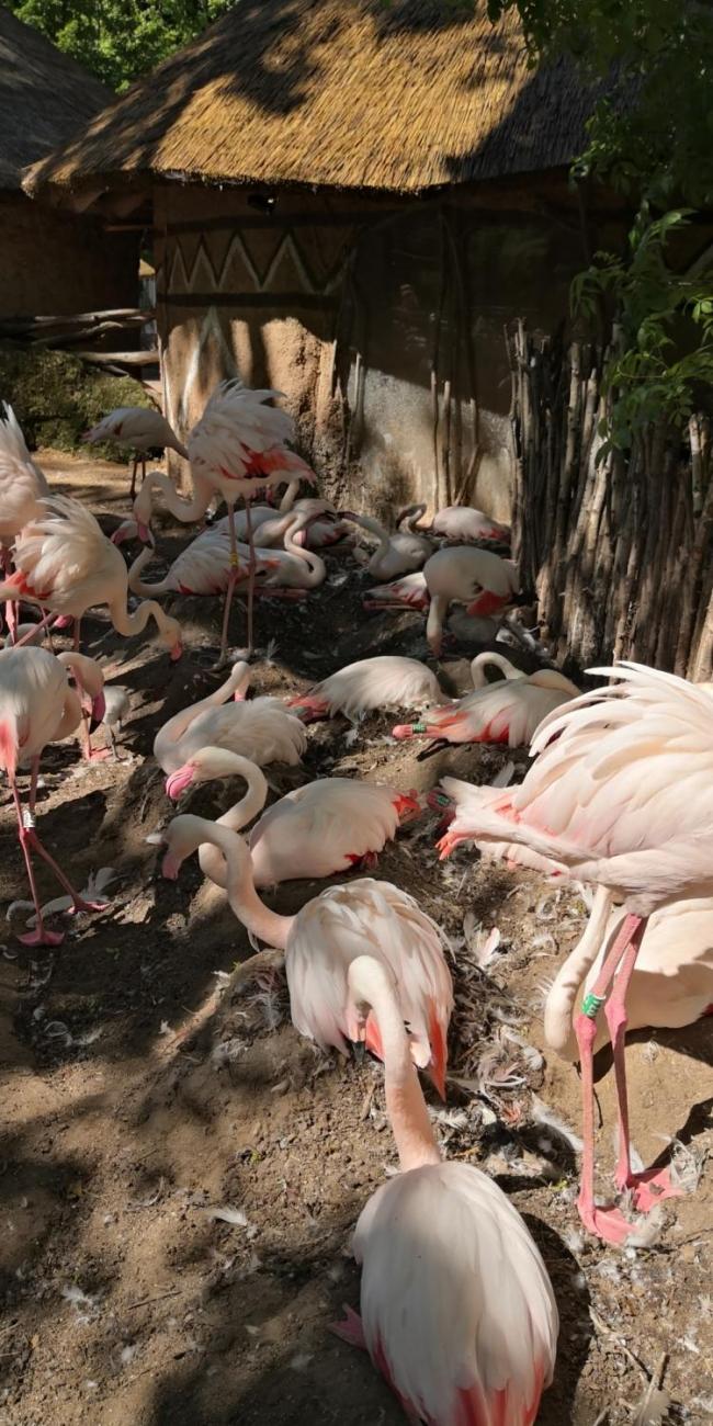 Když jsem já sloužil  1.A