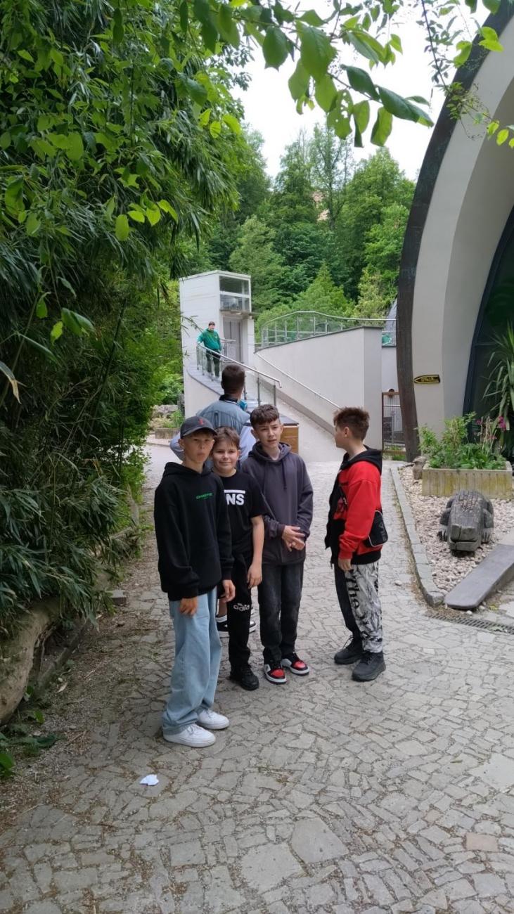 Návštěva ZOO Jihlava s klienty DTS  6.C