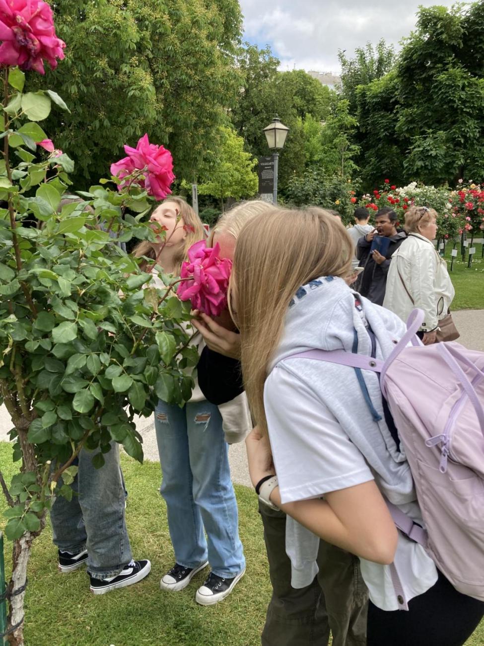 Vídeň květen 2024