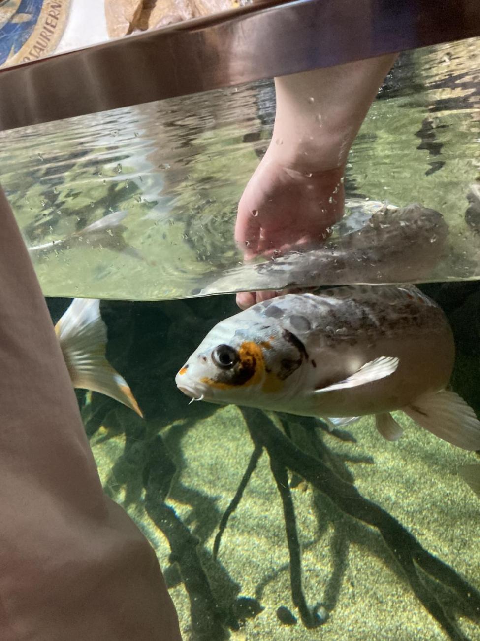 Vídeň květen 2024