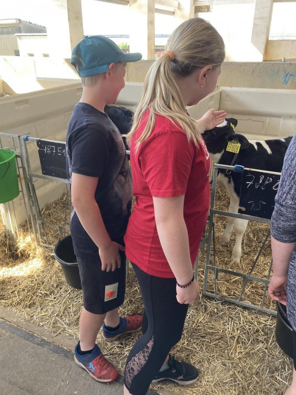 6. ročník objevuje zemědělskou výrobu