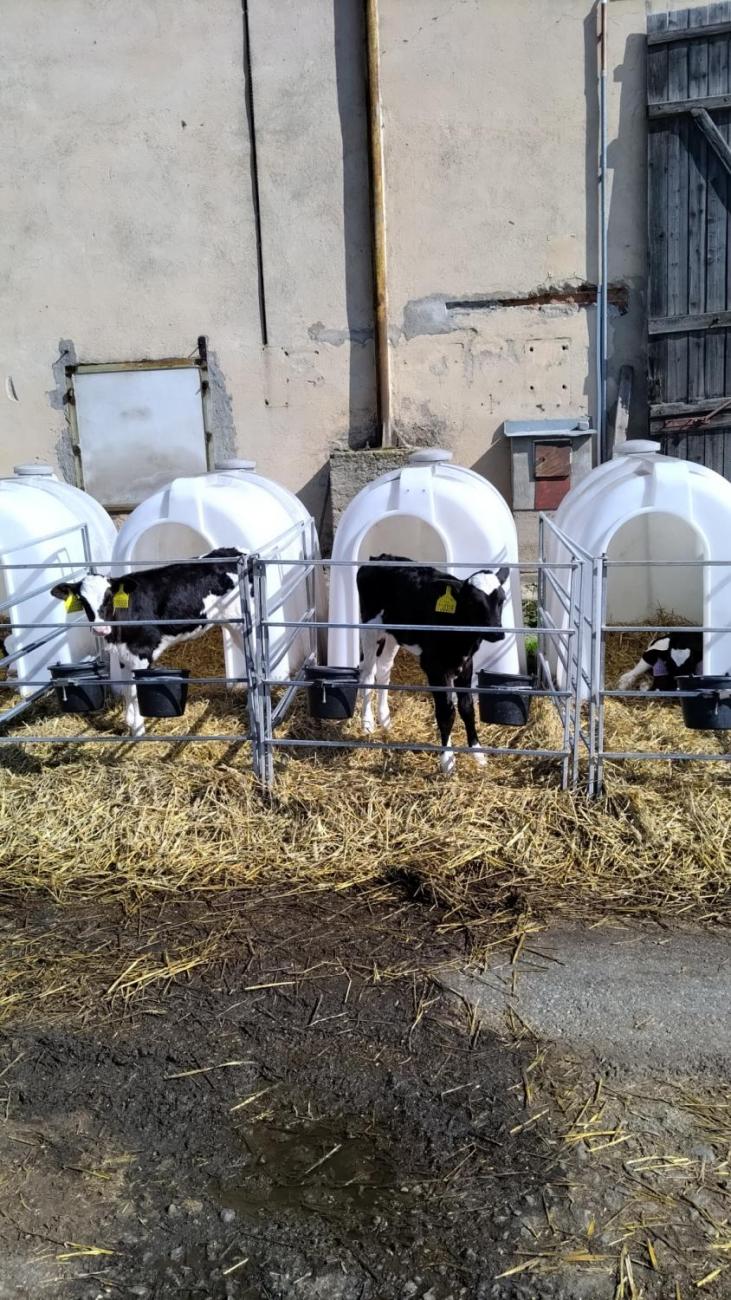 6. ročník objevuje zemědělskou výrobu