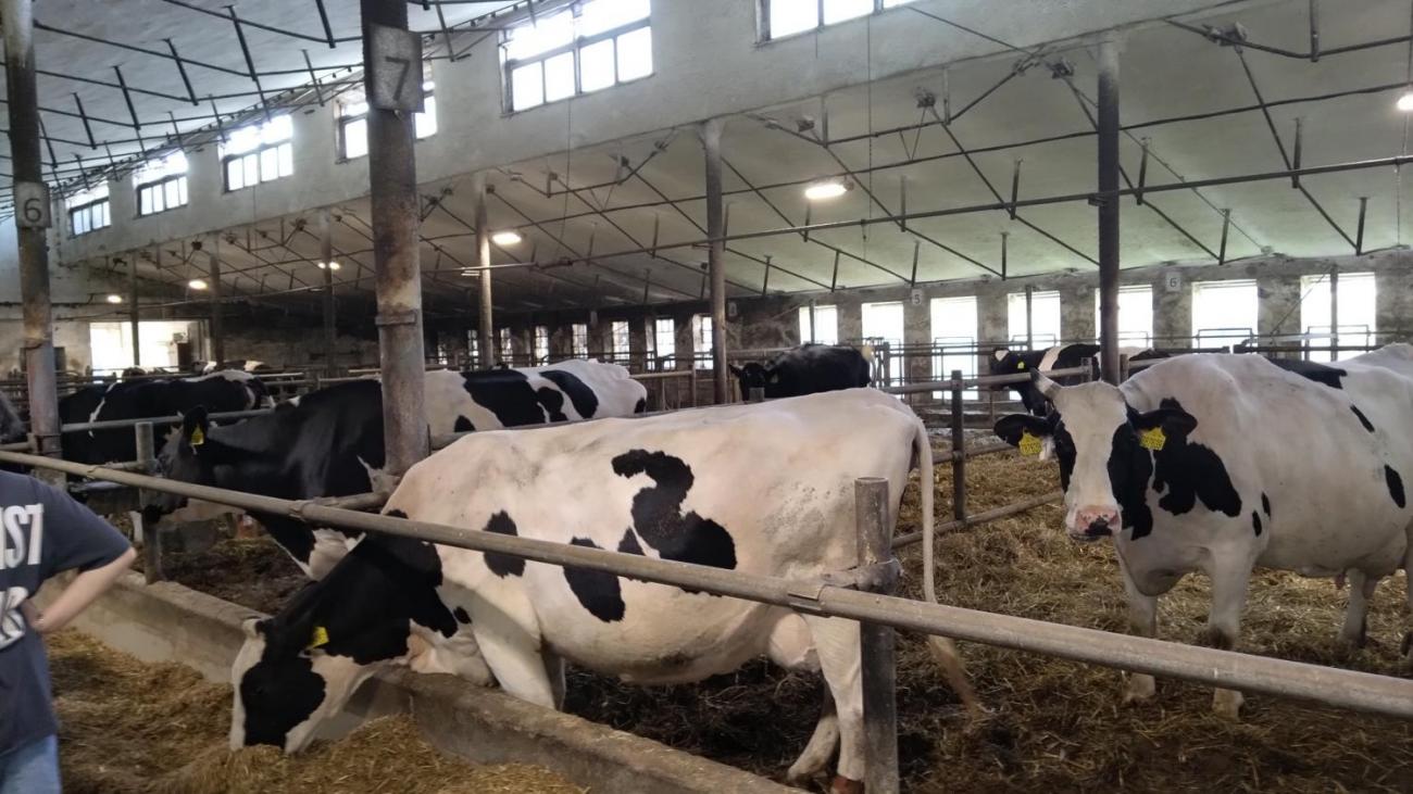 6. ročník objevuje zemědělskou výrobu