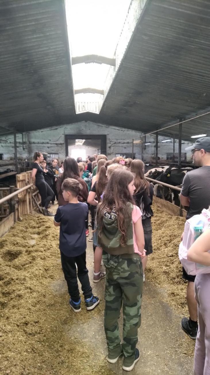 6. ročník objevuje zemědělskou výrobu