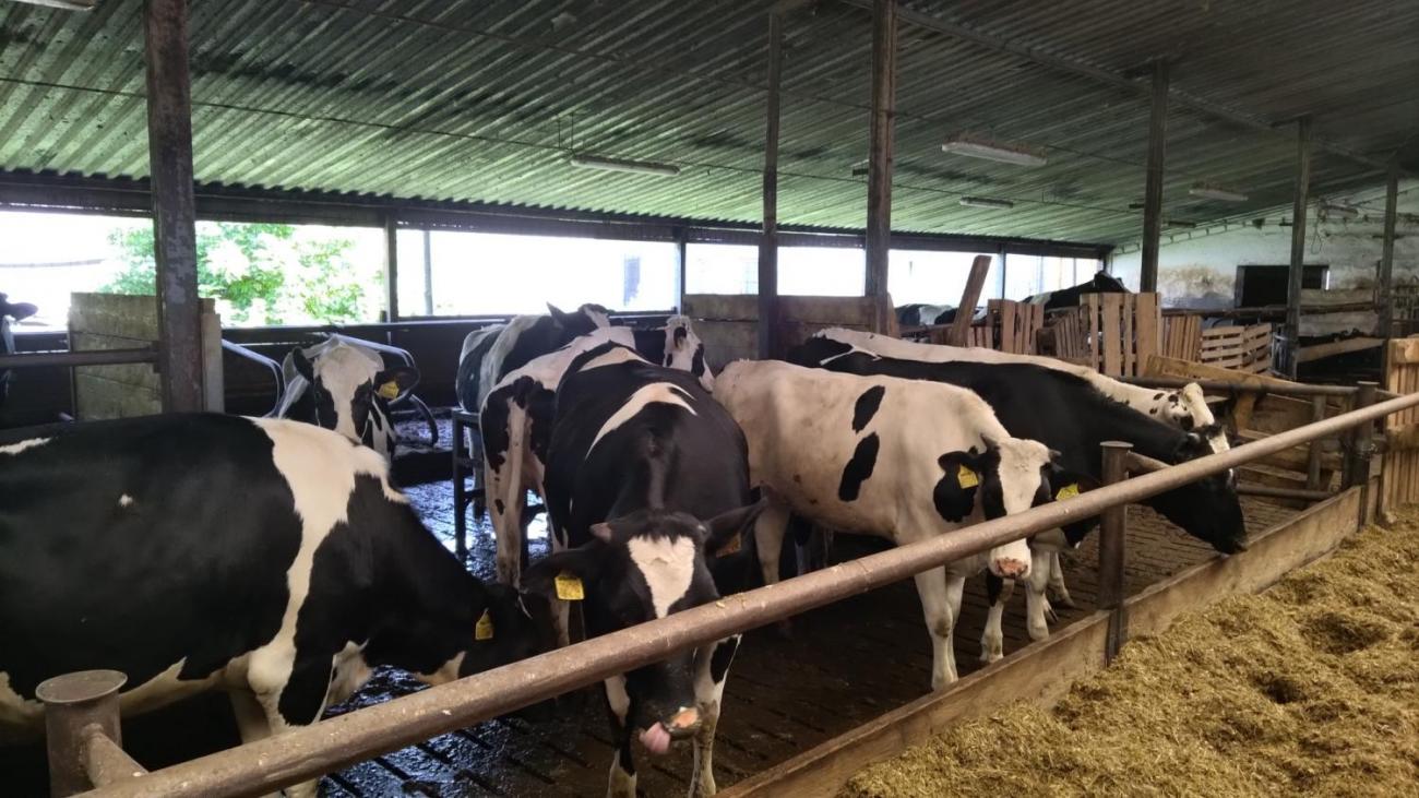 6. ročník objevuje zemědělskou výrobu