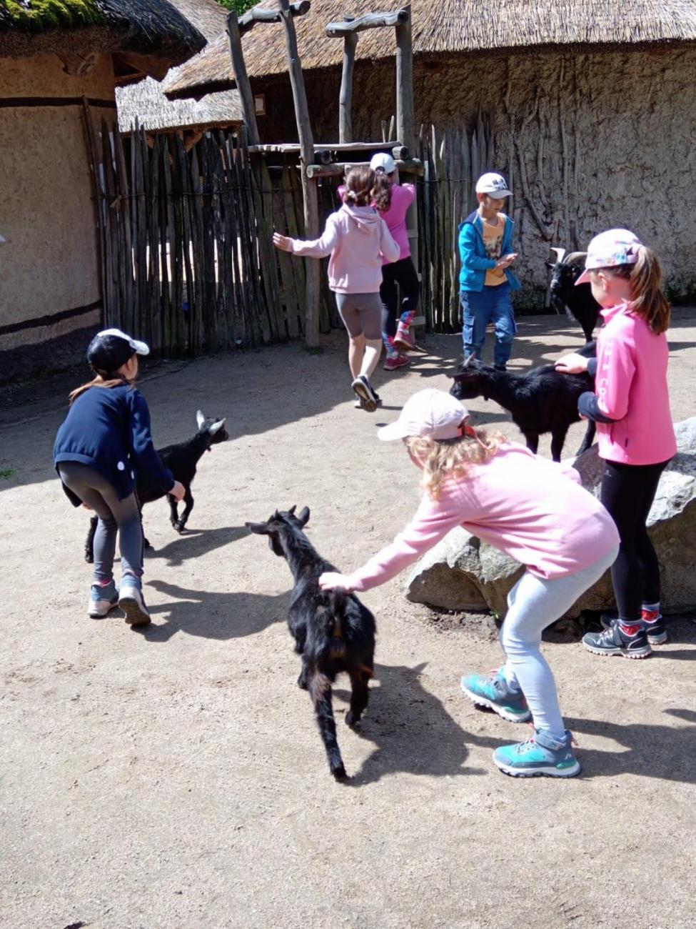 Návštěva ZOO - turistický den  2.B