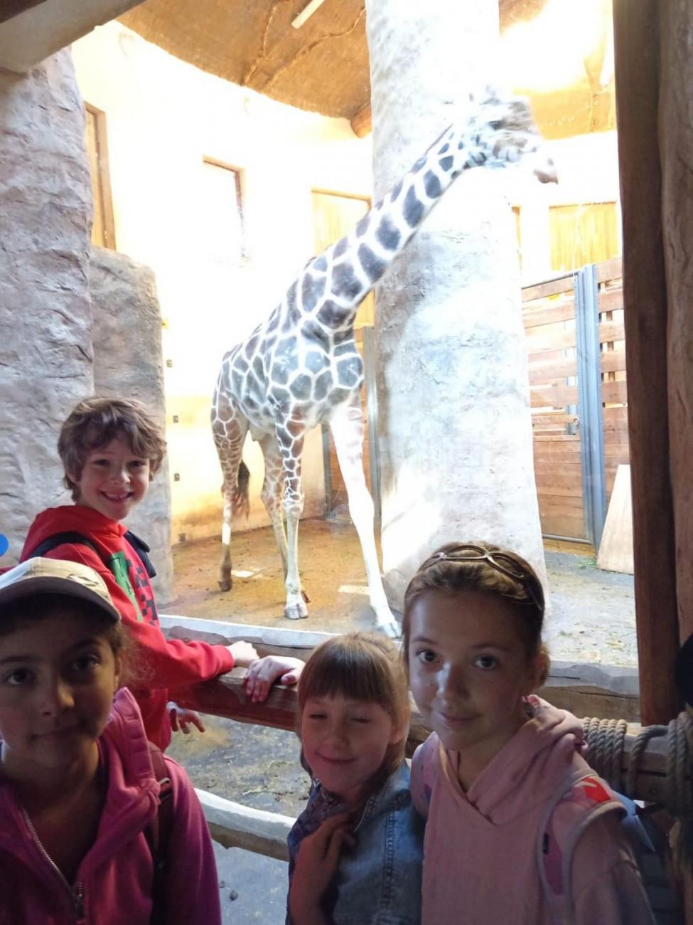 Návštěva ZOO - turistický den  2.B