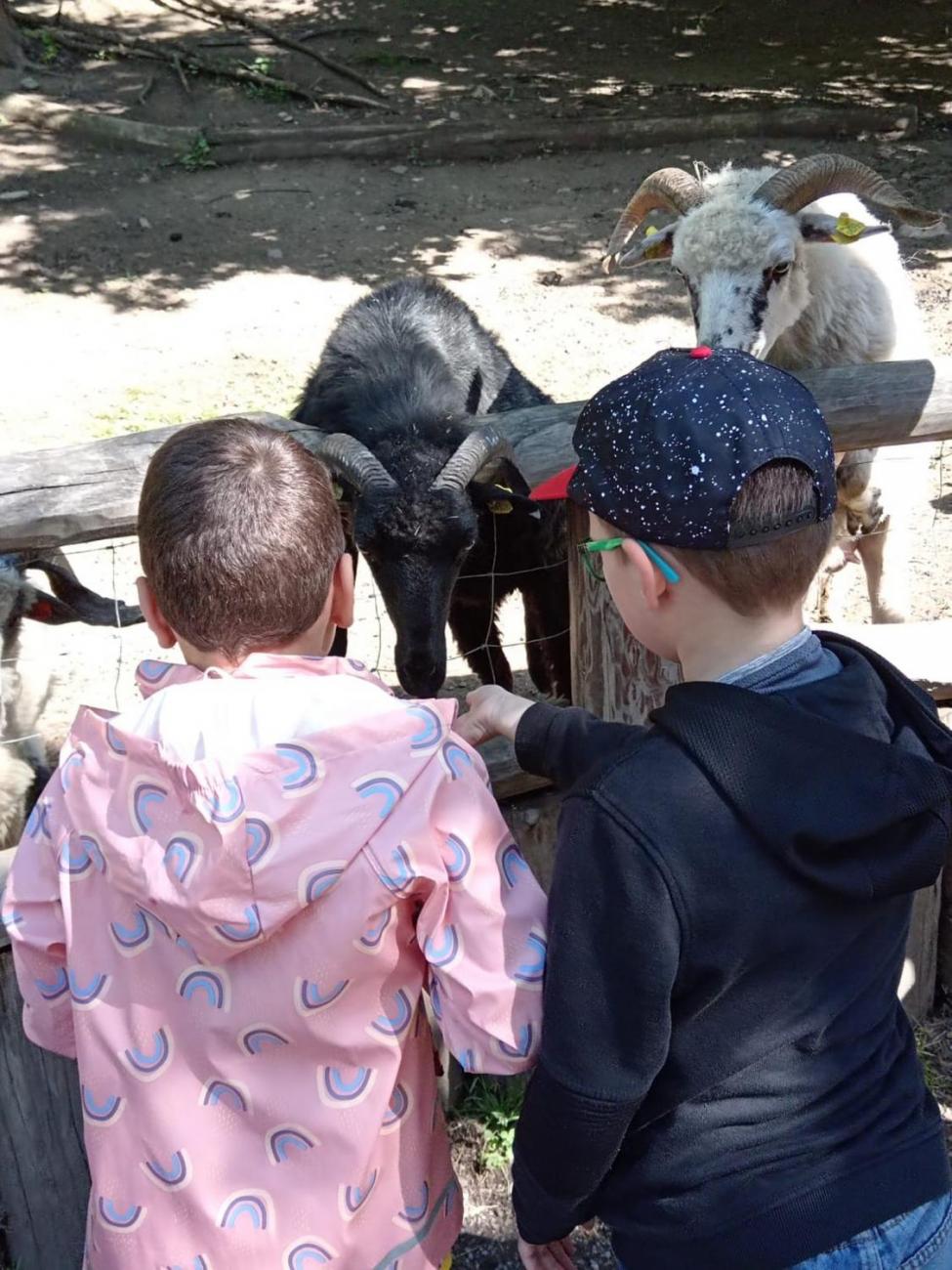 Návštěva ZOO - turistický den  2.B