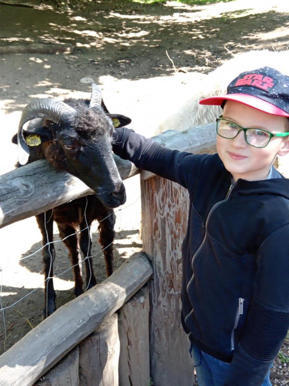 Návštěva ZOO - turistický den  2.B