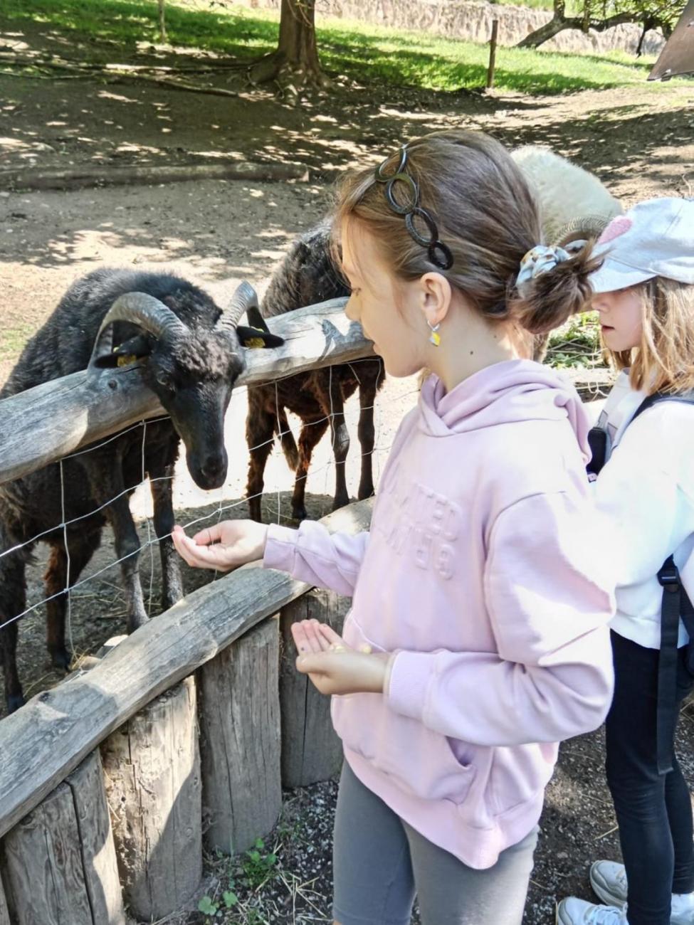 Návštěva ZOO - turistický den  2.B