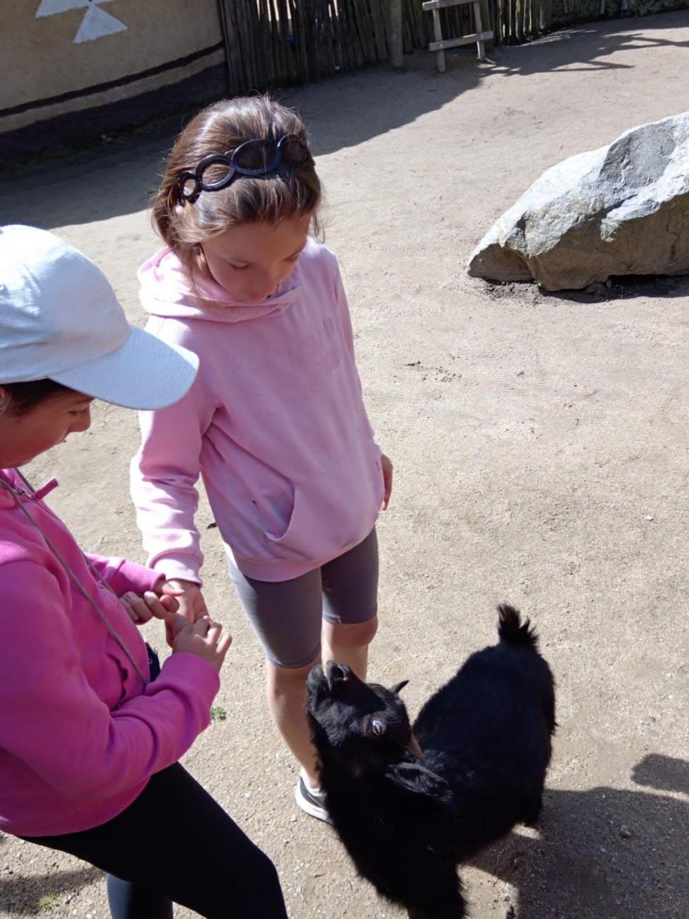 Návštěva ZOO - turistický den  2.B