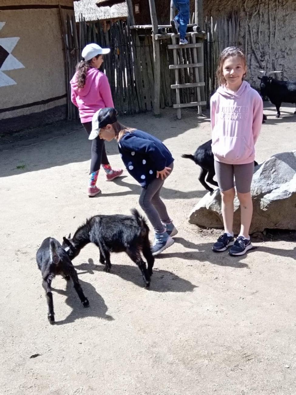 Návštěva ZOO - turistický den  2.B