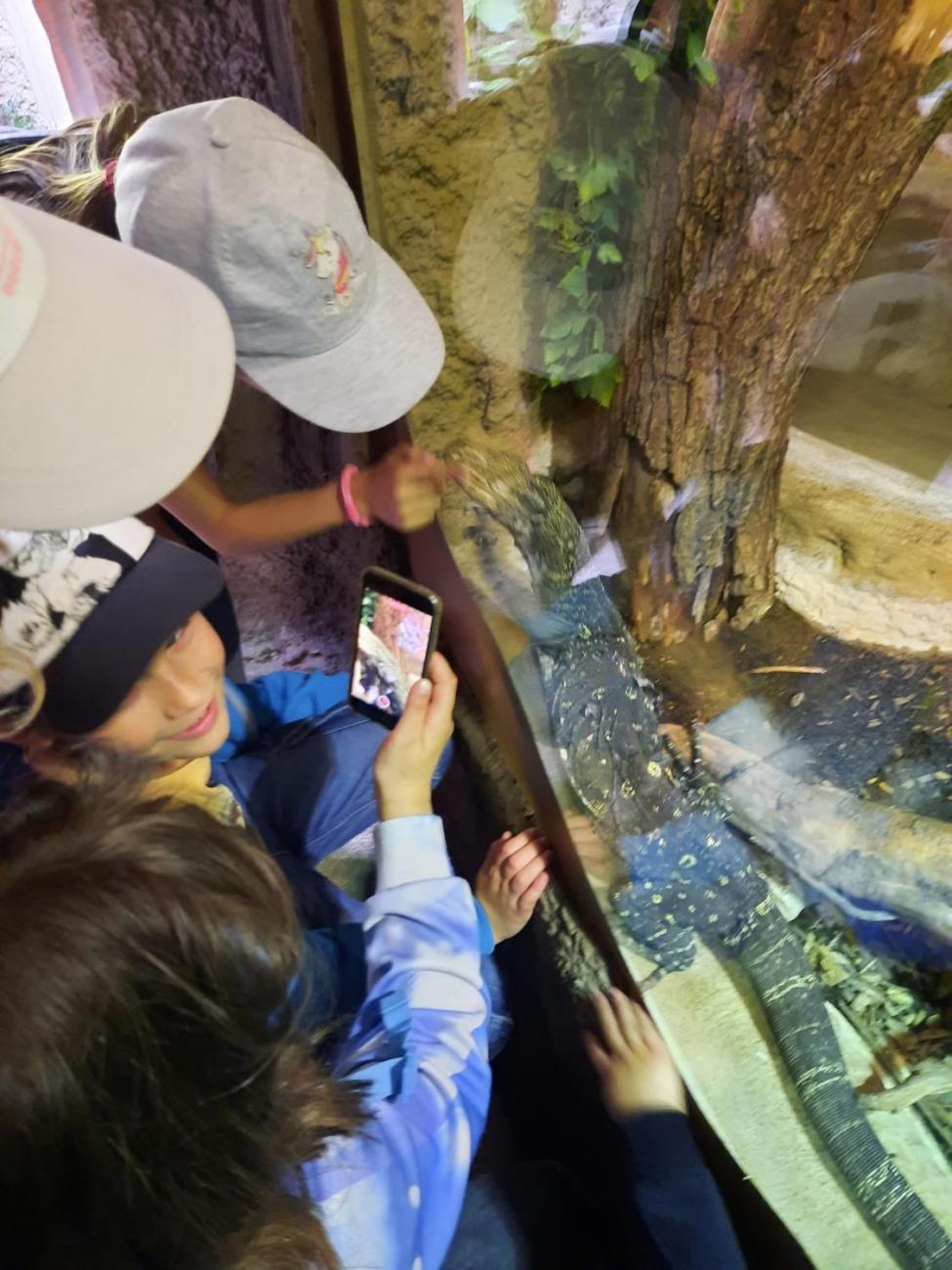 Návštěva ZOO - turistický den  2.B