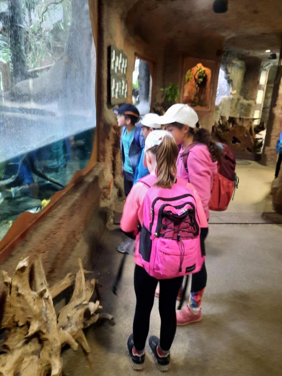 Návštěva ZOO - turistický den  2.B