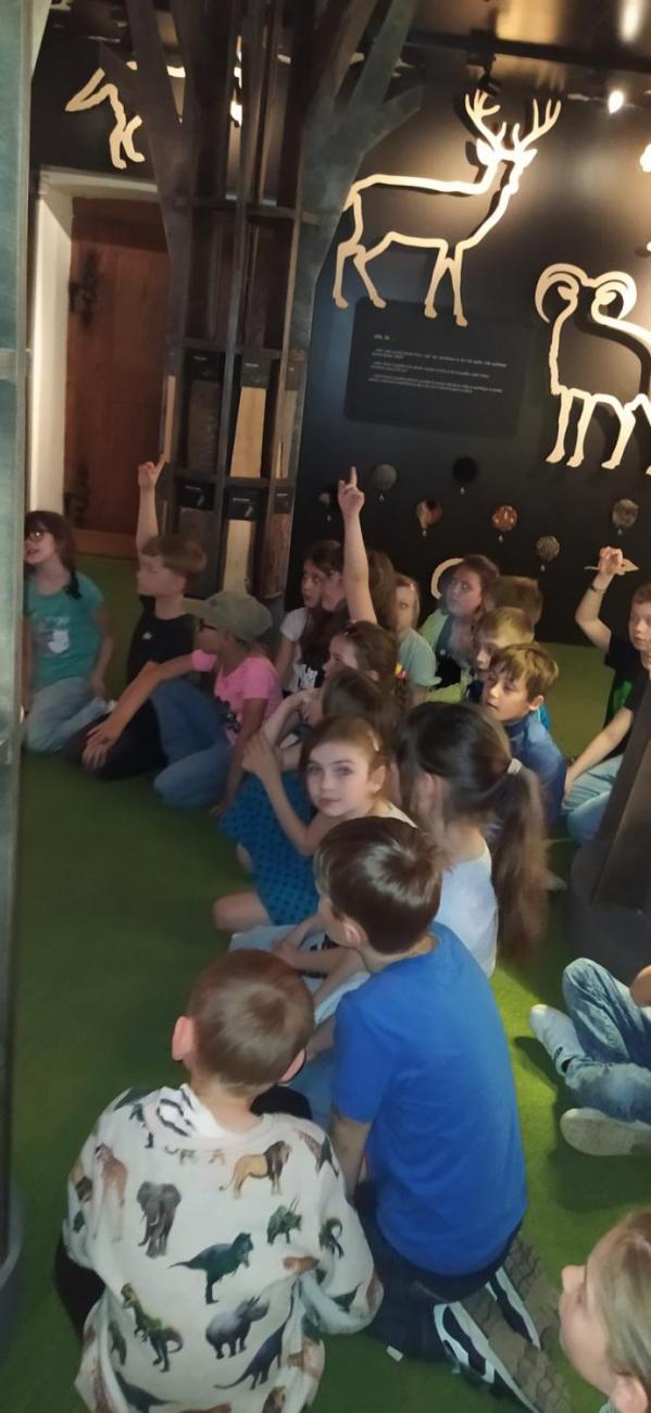 Dnes je na programu les  2.A