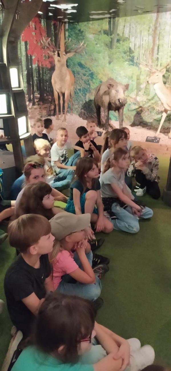 Dnes je na programu les  2.A