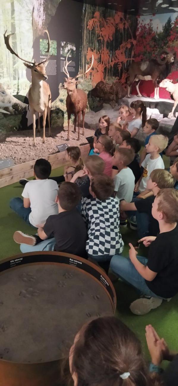 Dnes je na programu les  2.A