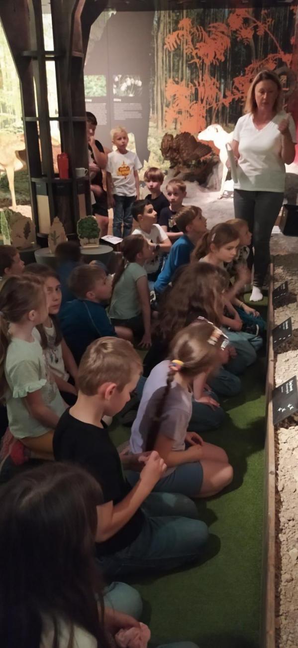 Dnes je na programu les  2.A