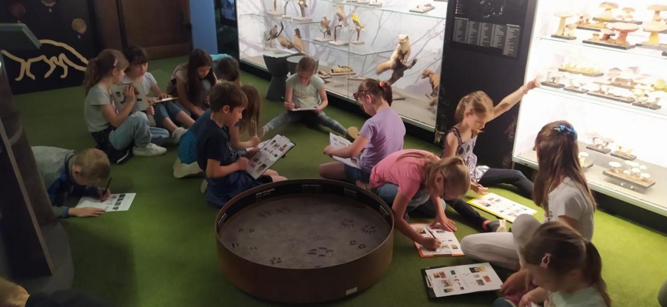 Dnes je na programu les  2.A